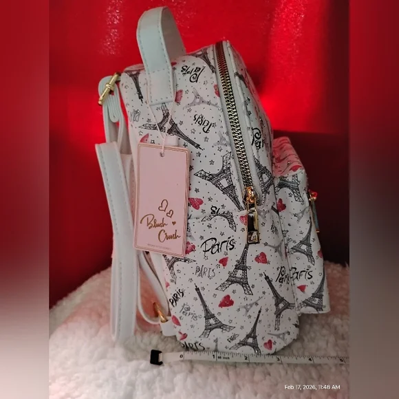 VEGAN LEATHER PARIS DESIGN MINI BACKPACK - Picture 10 of 11